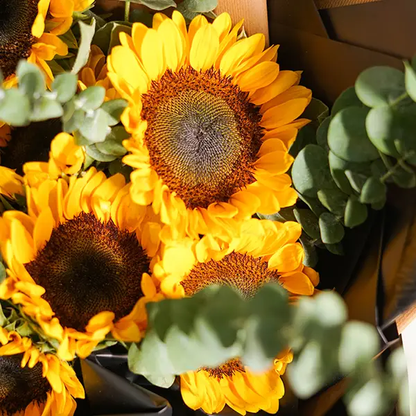 Sunflower Charm