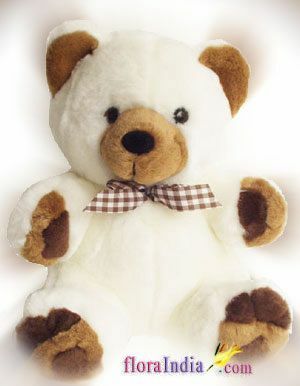 Cuddly Teddy