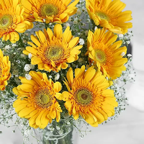 Bright Moments Bright Moments