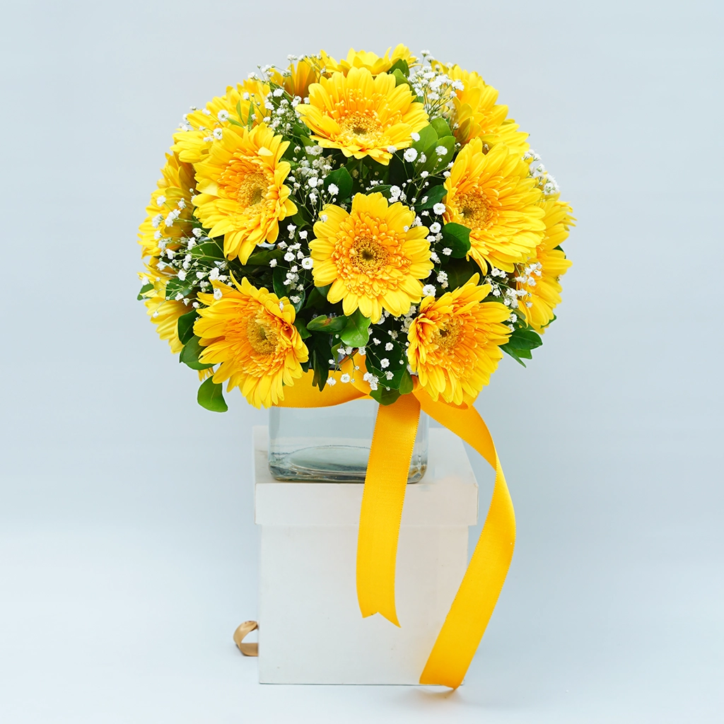 Bright Sunshine