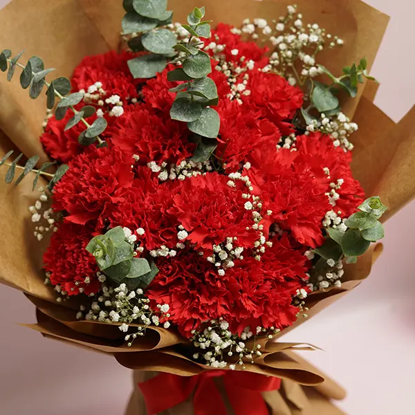 Scarlet Carnation Bouquet