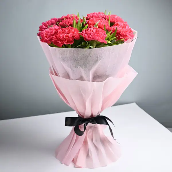 Send Carnations Buy/Send Pink Carnations Online | FloraIndia
