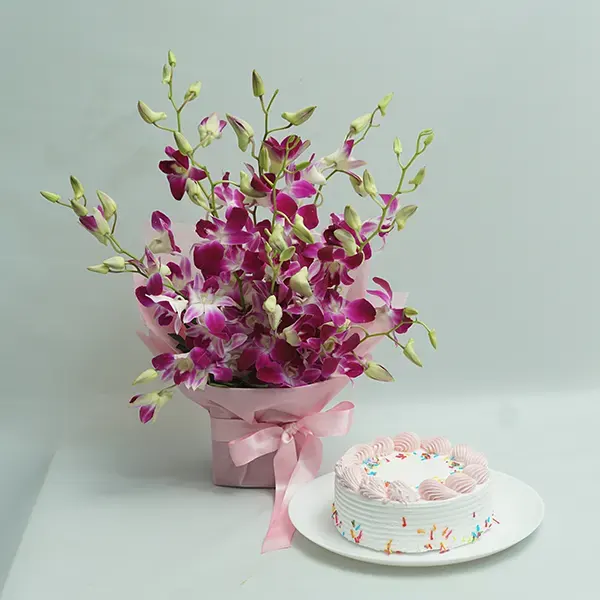 Orchids & Berry Celebration