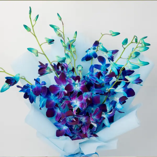 New Year Orchids Bouquet New Year Orchids Bouquet