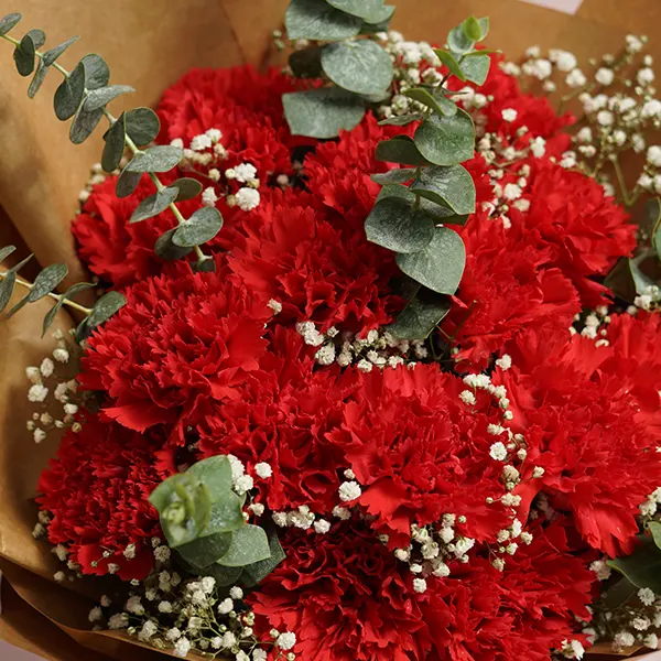 Scarlet Carnation Bouquet