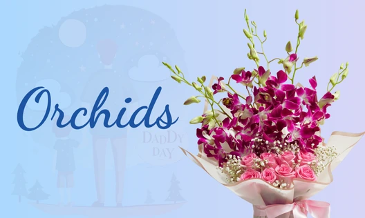 orchids flowers online