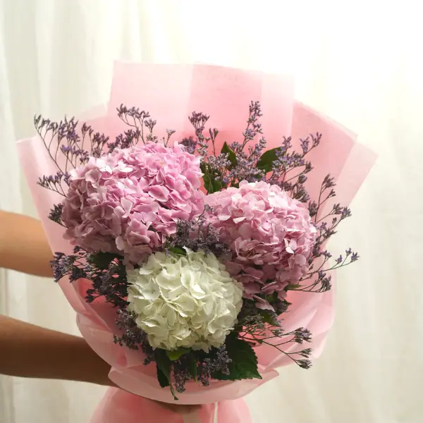 Pink & White Hydrangea Bouquet