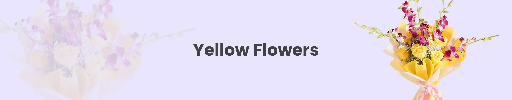 Yellow Flowers Yellow Flowers