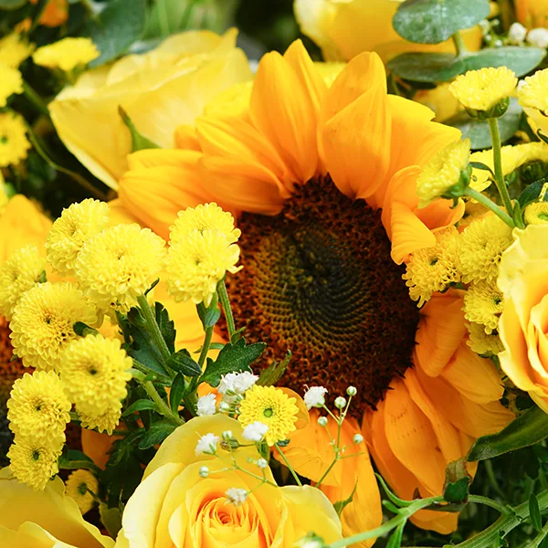 Sunny Bouquet & Mango Love