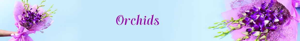 Orchids Banner