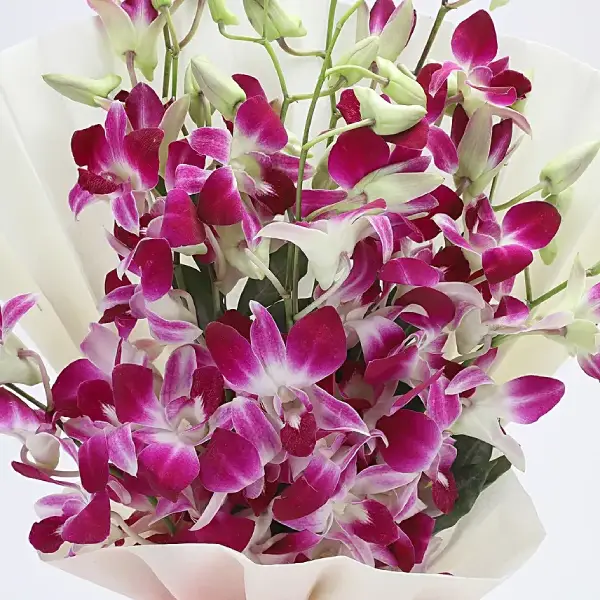 Chocolates & Orchid Rose Fusion Chocolates & Orchid Rose Fusion
