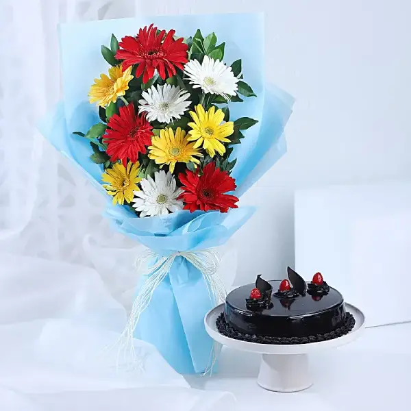 Priceless Treasure with Chocolate Cake