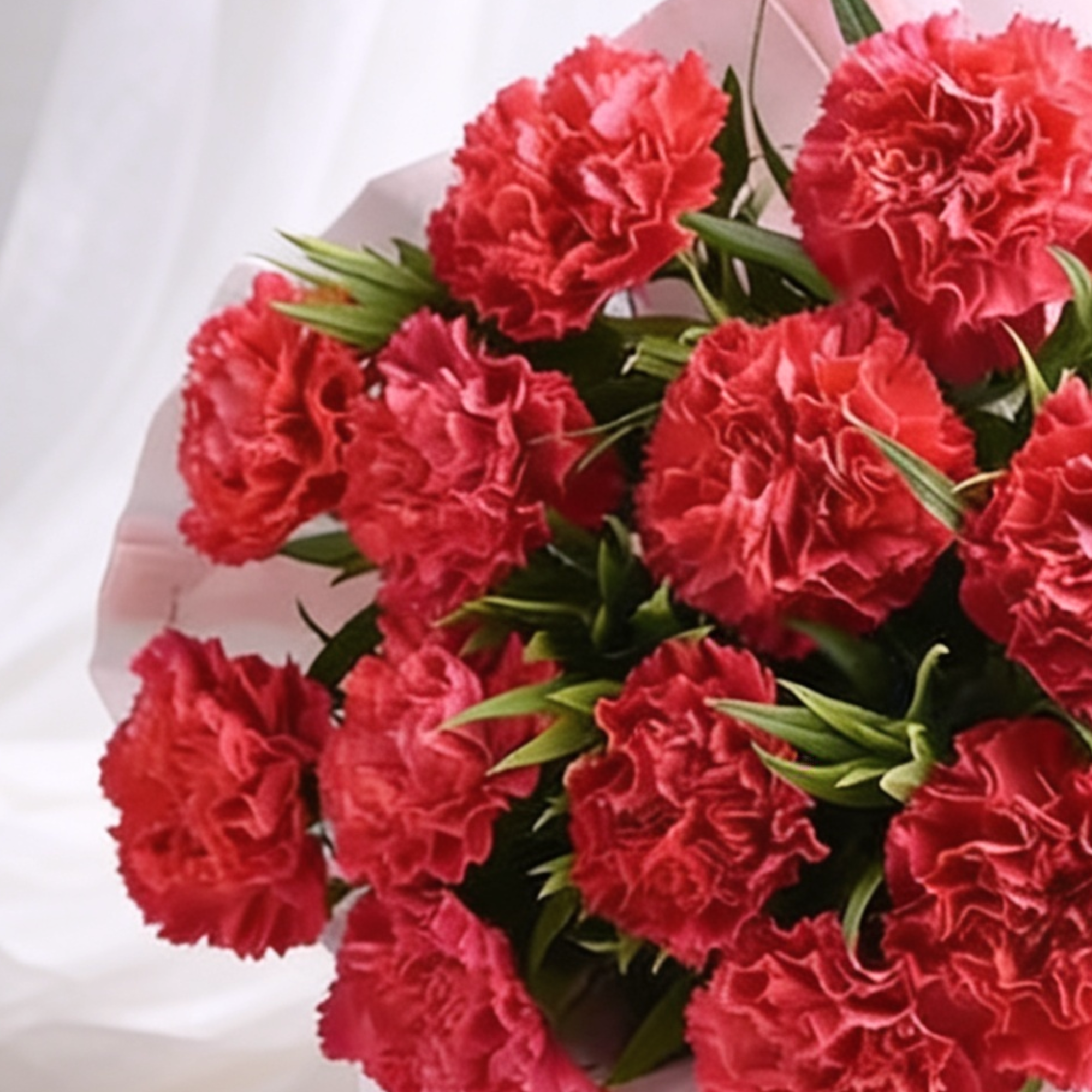 Pink Carnations