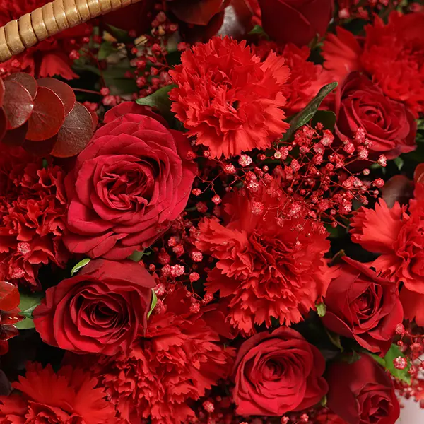 Radiant Reds in a Basket