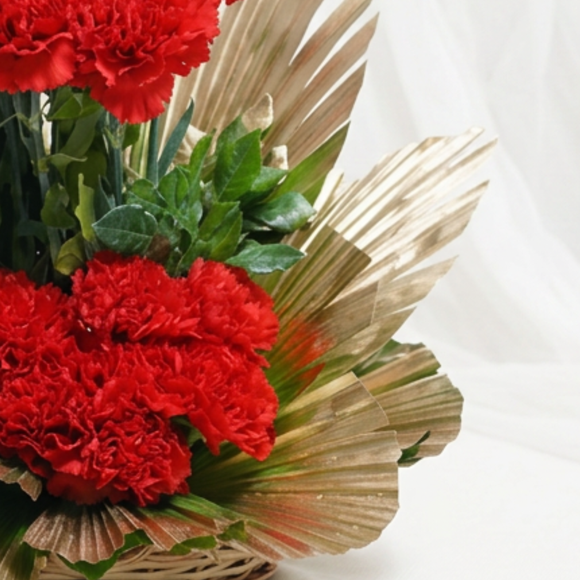 Bubbly Carnations