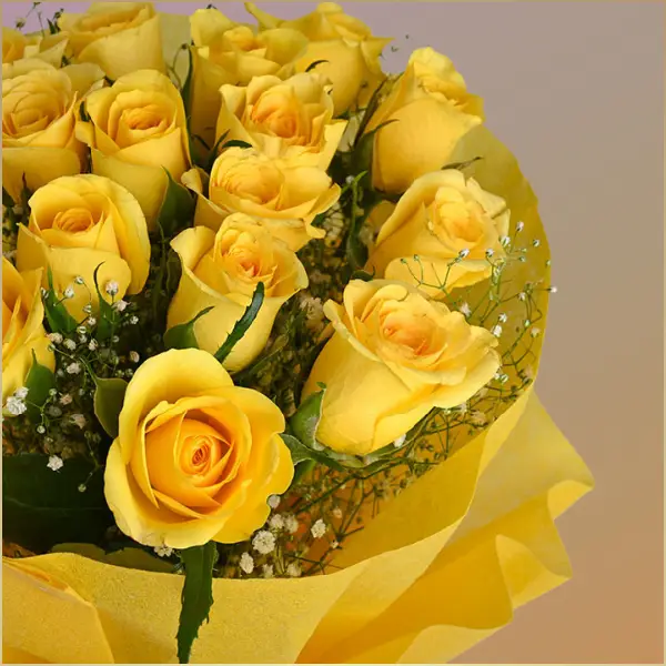 Radiant Yellow Roses