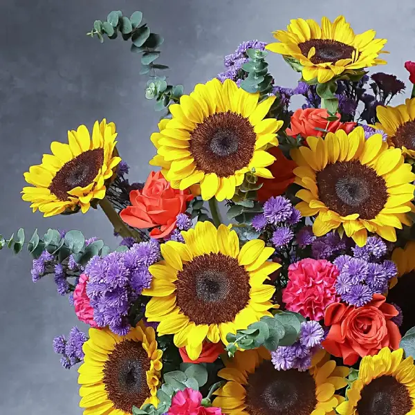 Sunbeam Elegance Box Sunbeam Elegance Box