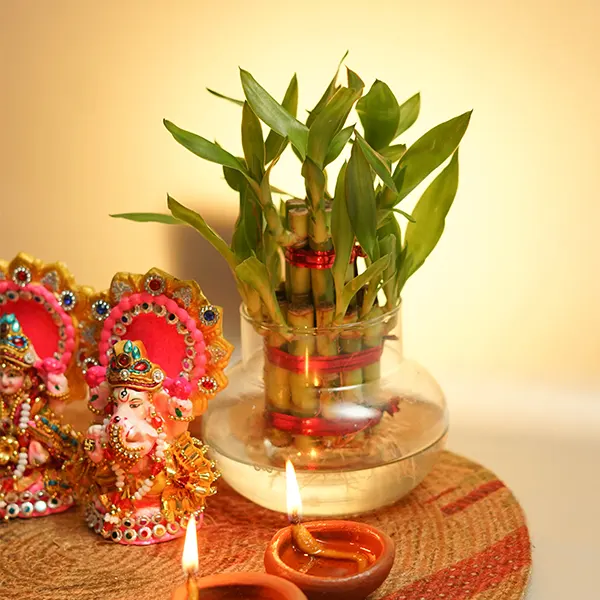 Lucky Charm Diwali Hamper