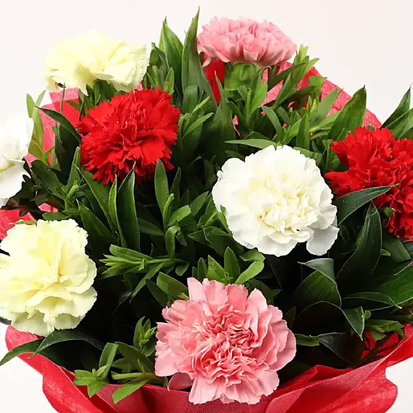 Gratitude to Mom