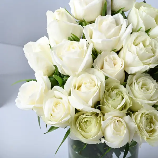 Wonderful in white