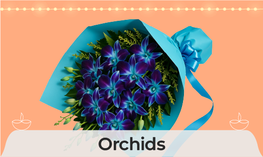 orchids flowers online