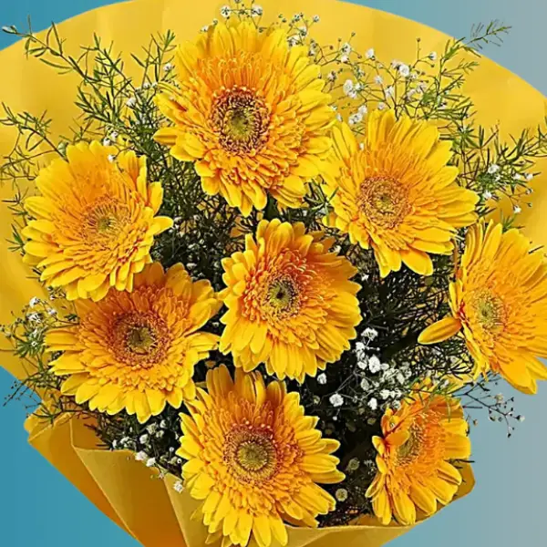Charming Yellow