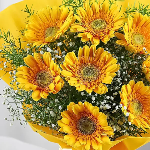 Charming Yellow