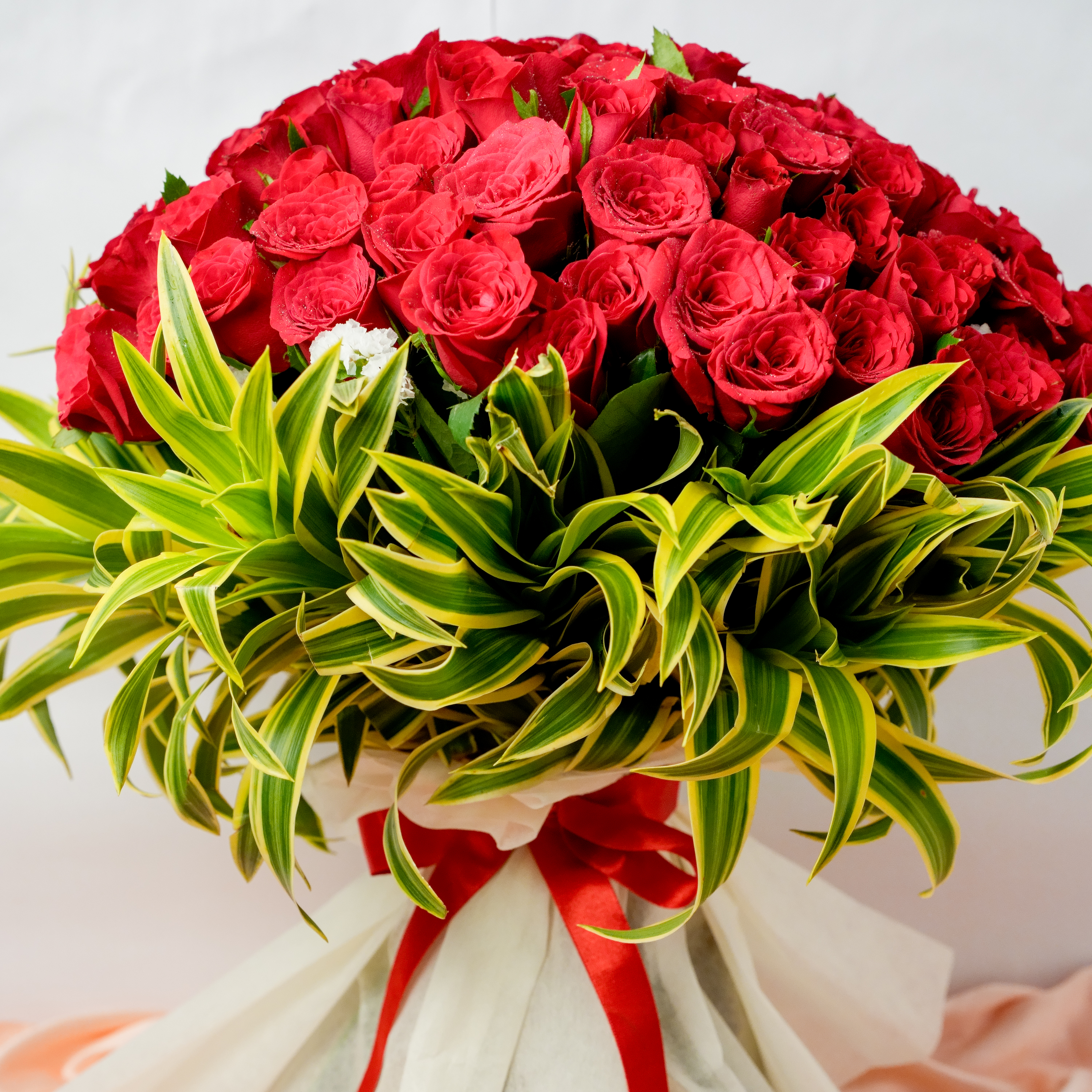 Roses Supreme Roses Supreme