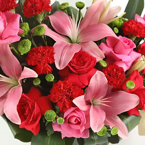 Red Blossom