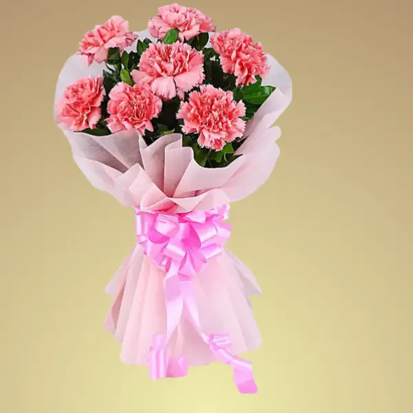 Carnations Delight