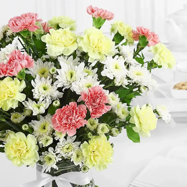 Colorful Delight Colorful Delight