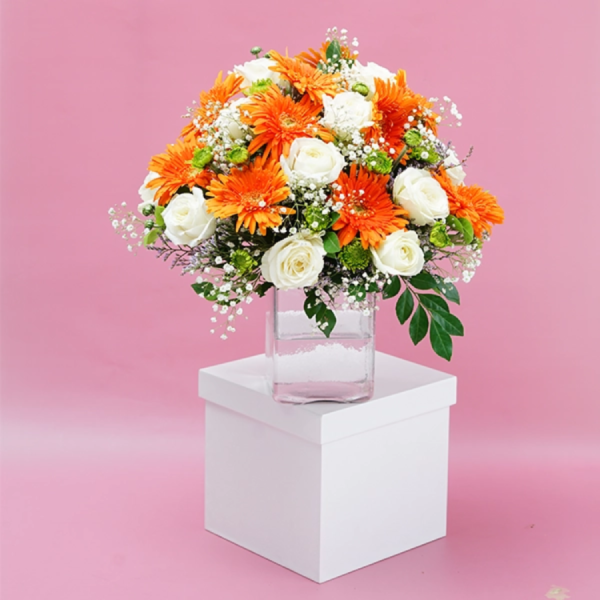 Sunbeam Elegance Box