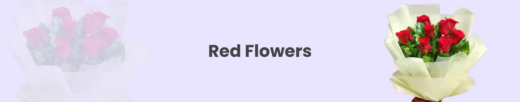 Red Flowers Red Flowers