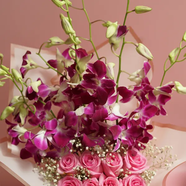 Orchid Rose Vanilla Fusion
