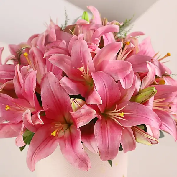 Gorgeous Mix Box