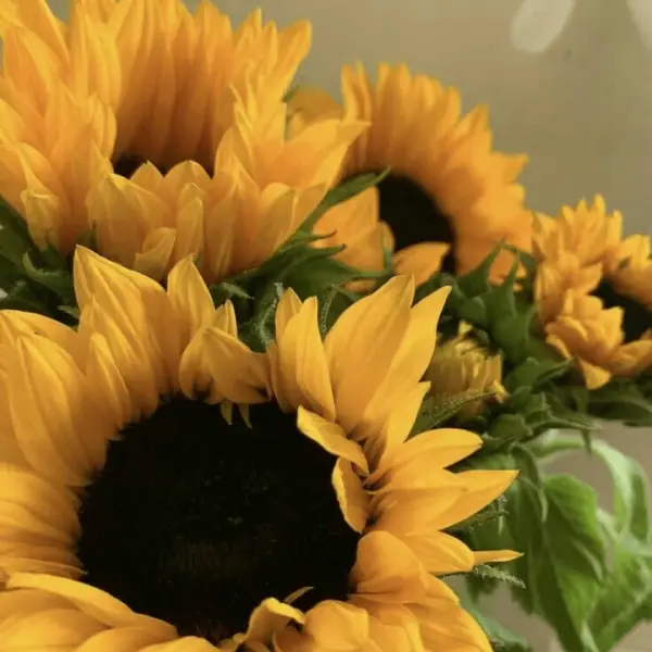 Sunny Garden Bouquet