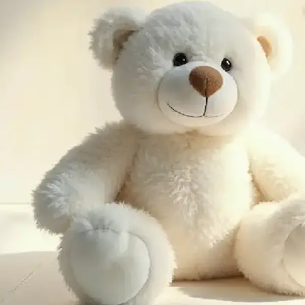 White Teddy Bear