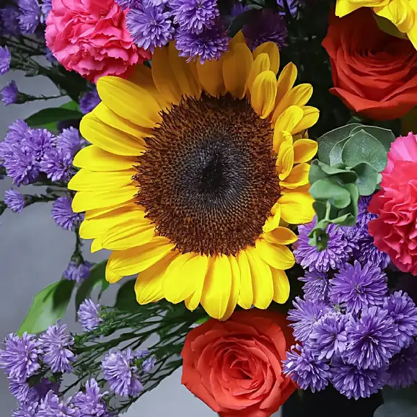 Sunbeam Elegance Box Sunbeam Elegance Box