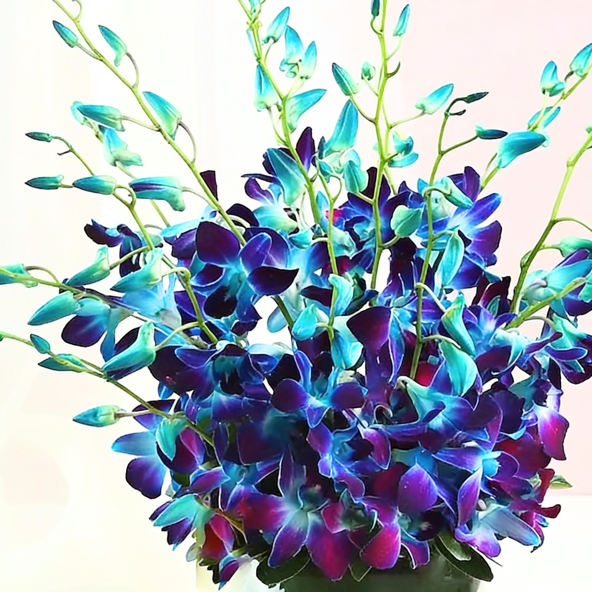 Blue Orchids Vase