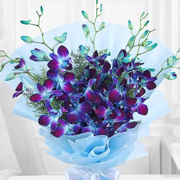 Gorgeous Orchids Gorgeous Orchids