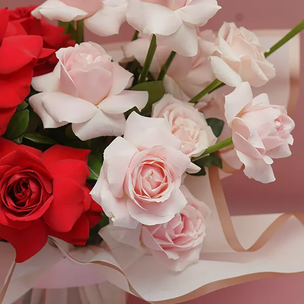 Vanilla Berry Rose Delight