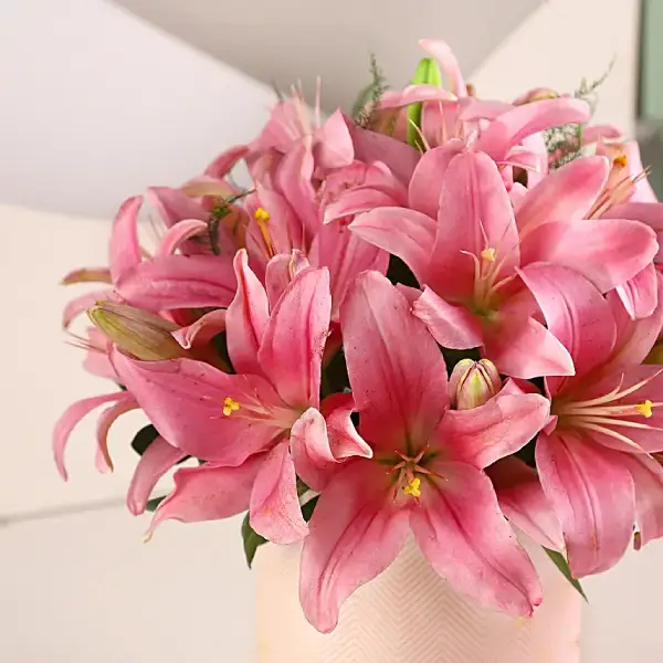 Gorgeous Mix Box