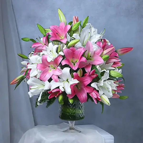 Touch of the Tropics