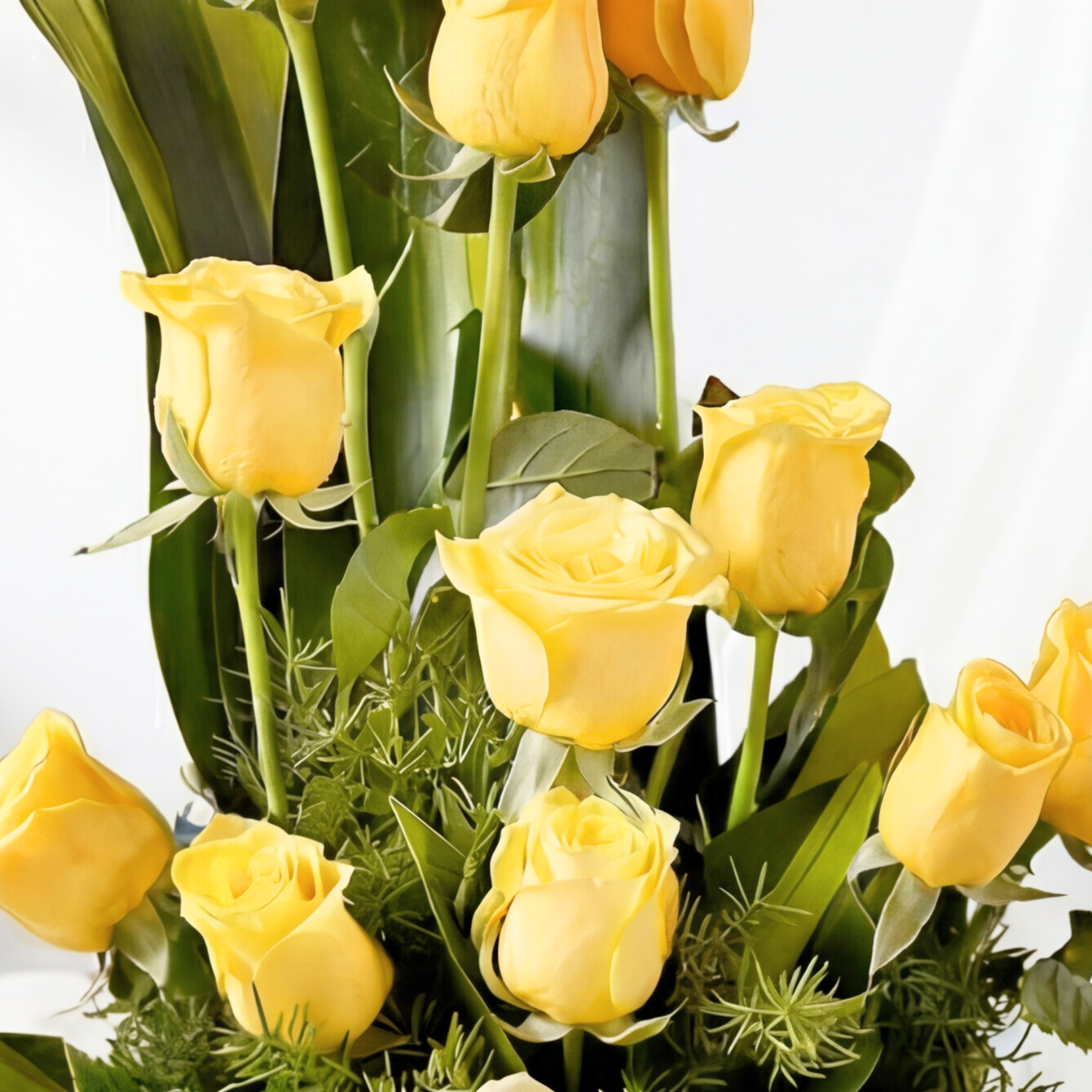 Yellow Magic Yellow Magic