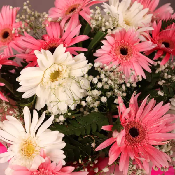 Pink Gratitude