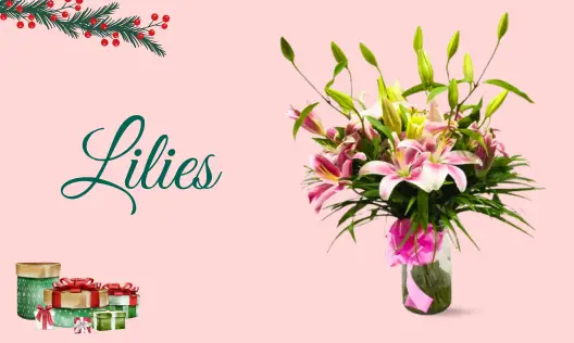 Lilies