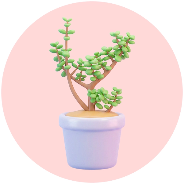Plants & Green Gifts Icon