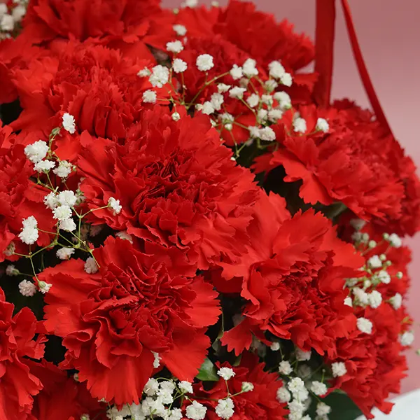 Elegant Red Carnations & Vanilla  Cake