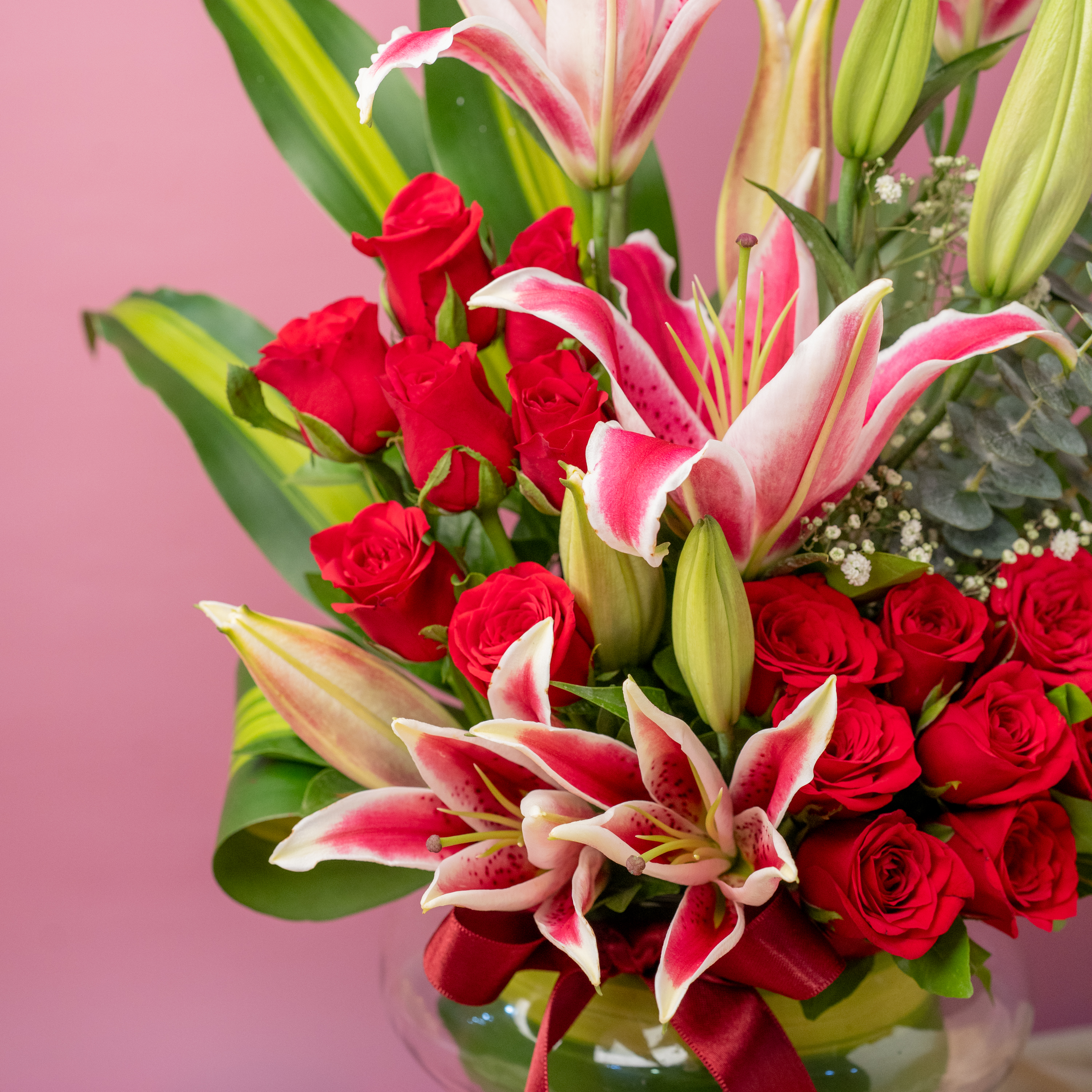 Red Revival