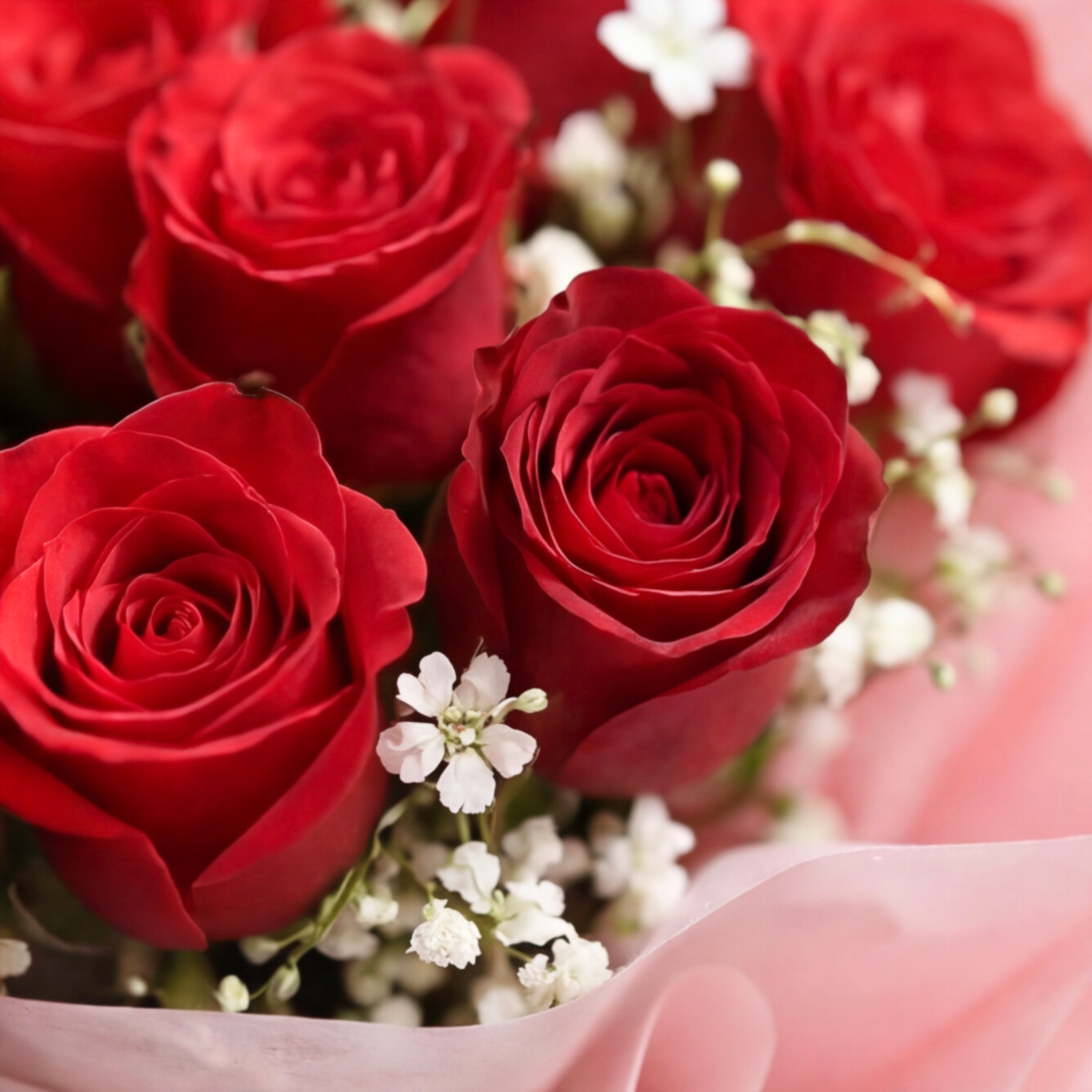 15 Red Roses Hand-Tied Bouquet